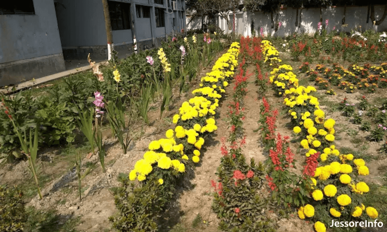 Technical Training Centre Jessore 3